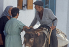 Greece 101232.jpg